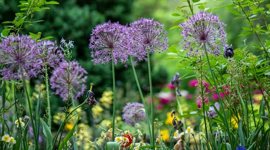 Cottagecore Kitchen Garden Aesthetic