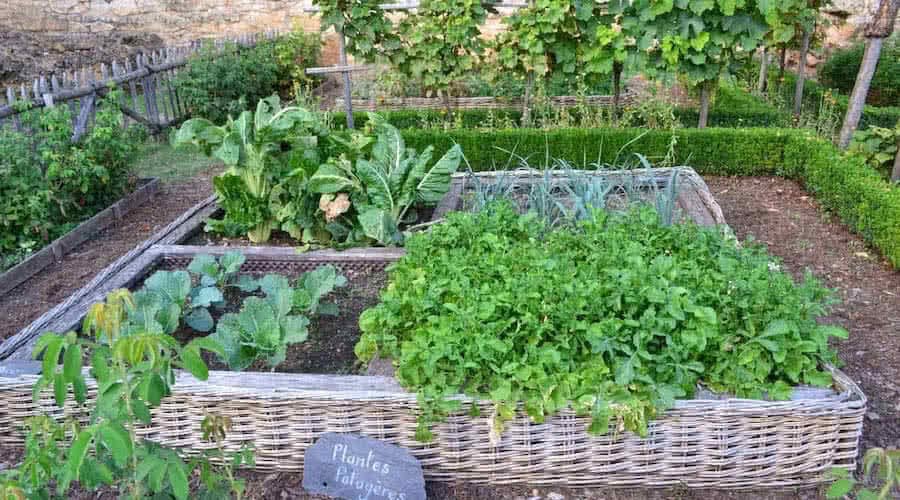 Herb And Veg Garden Cottagecore Garden